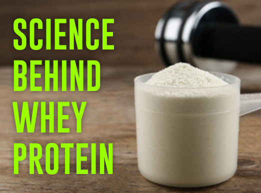 The science behind whey Protein